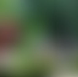 La internacionalización de Valledupar no empezó en FITUR, pero allí se hizo visible. 