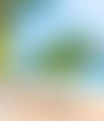 Una escapada a una playa del Caribe el plan perfecto