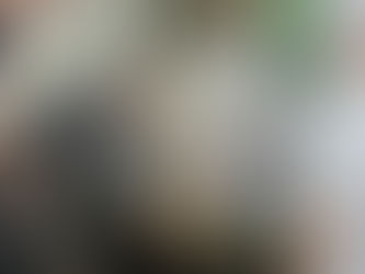 鉄板焼きフェア