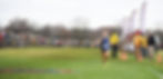 State XC.jpg