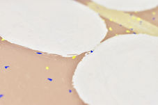 マダラチョウ（細部）
Danainae(detail)