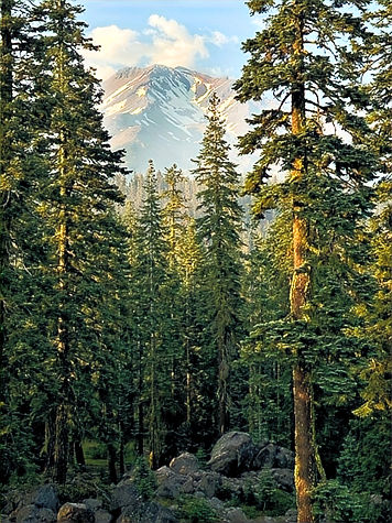 Mount Shasta Wilderness Guide Michael Chudzik c_2025_edited_edited.jpg