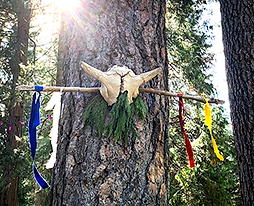 buffalo-totem - visionpath-org c.michaelchudzik2019 300x96.png