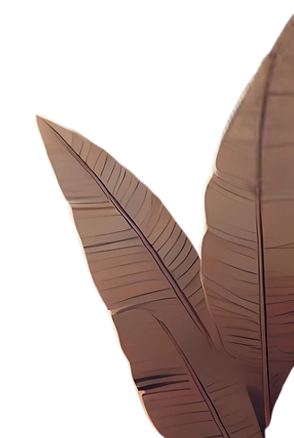 item2.png