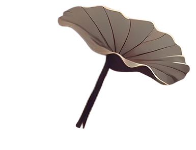 item8.png