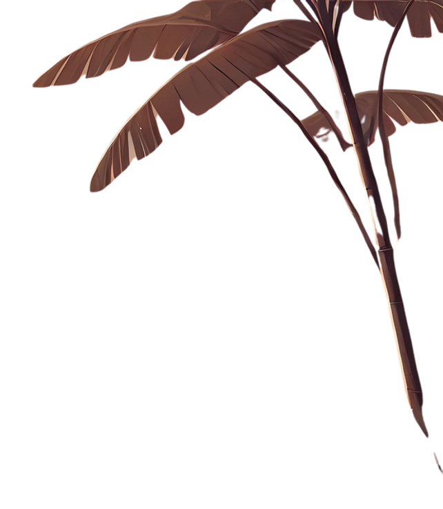 item1.png
