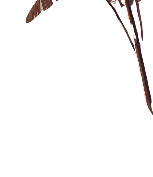 item1.png