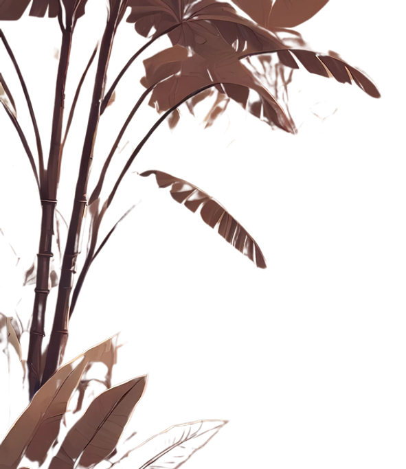 item7.png