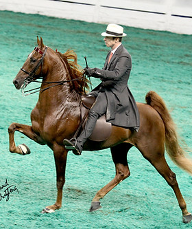 MBAs Manhattan Shooting Star position 2.jpeg