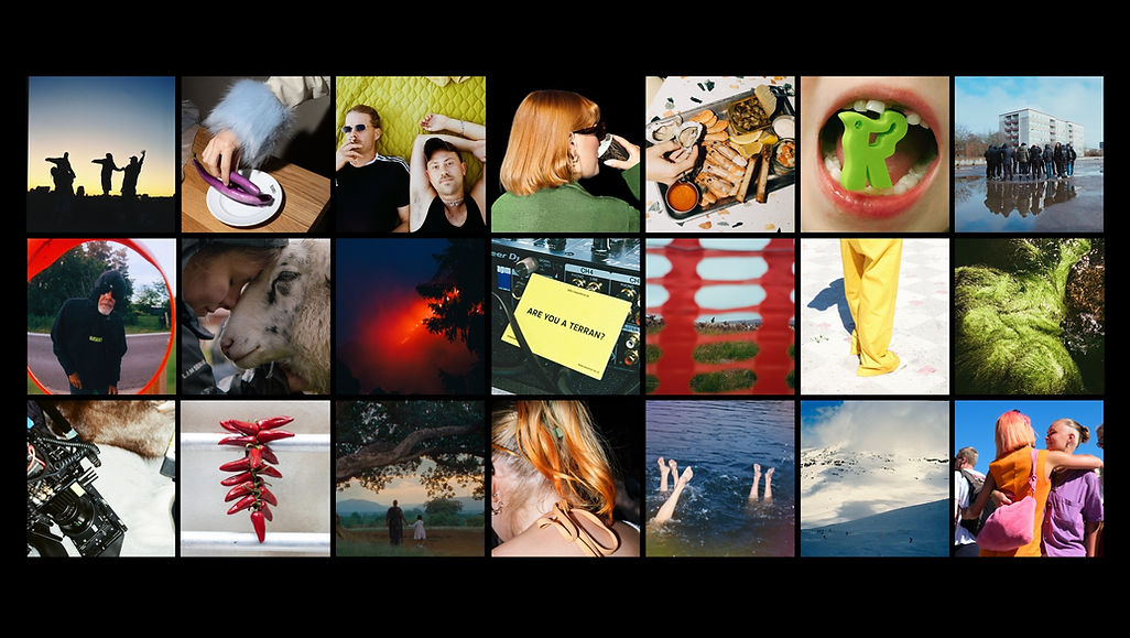 TERRANCITOS treatment (1).jpg