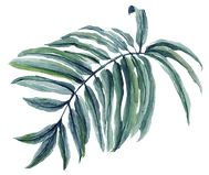 leaf_18_edited.png