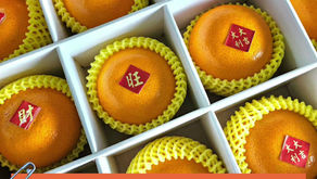 感謝 台中市盧秀燕市長 與 社會局廖靜芝局長 的新年禮盒