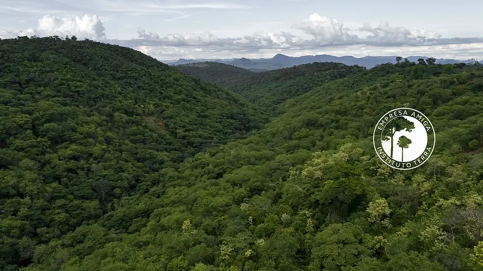INSTITUTO TERRA (1).webp