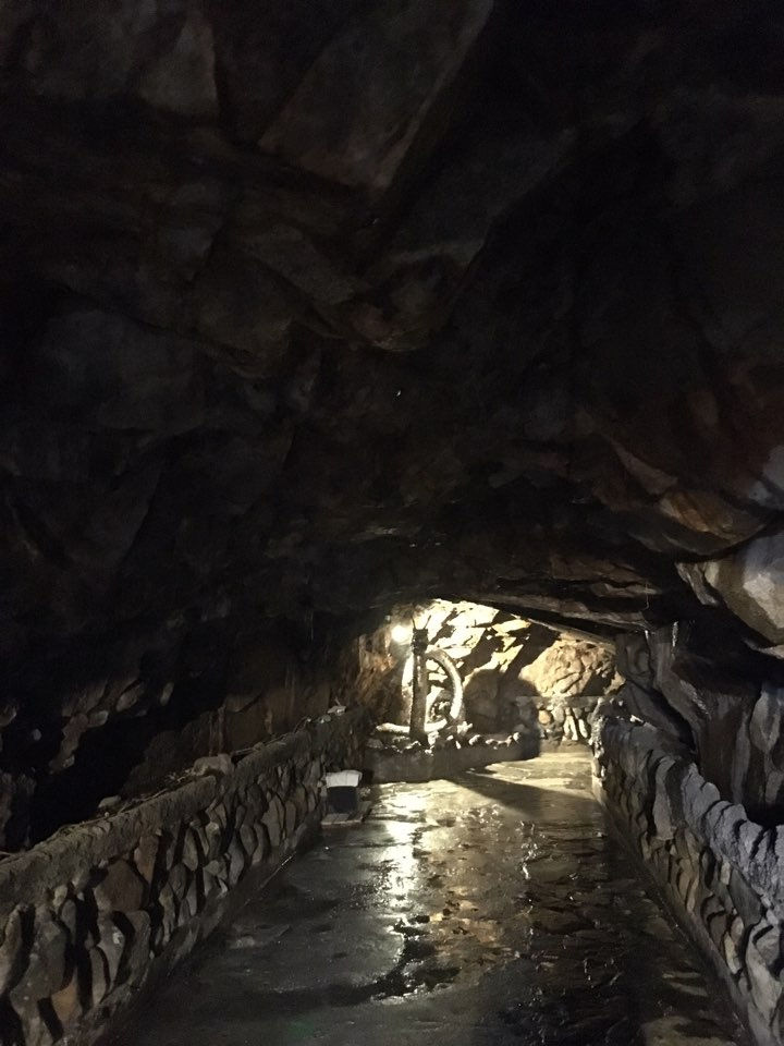 temp_1484913965630.-1502573693