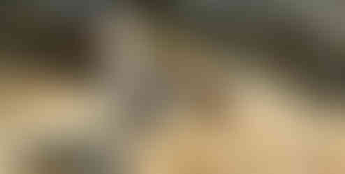 A UXO prior to having its fuze removed with an EOD tool.