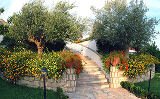 gallery-3.jpg
