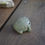 Thumbnail: Grump Frog Friend (medium)