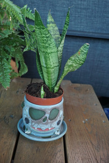 Bulba-planter