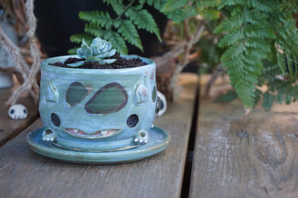 Bulba-planter