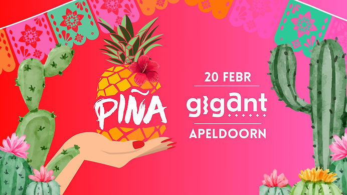 Apeldoorn - febr. 2026.jpg