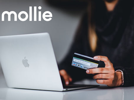 Koppel Mollie in 6 stappen aan jouw Wix website