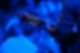BSCENE_PE_BEVELA_0171-BD3_4645 kopie.jpg