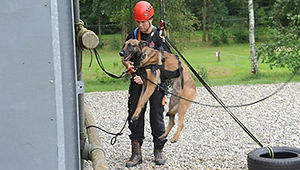 overview-training-werkhond-abseilen.jpg