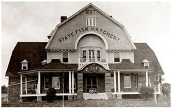 Front of Hatchery Building  - 1903