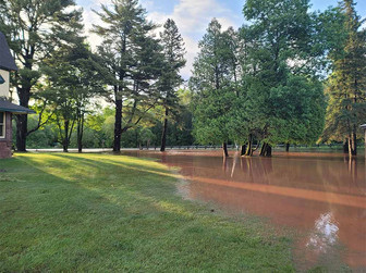 Flooded grounds at the hatchery.
