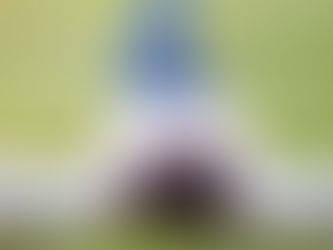 Por qué empezar el día con una dosis de naturaleza puede cambiar tu salud mental