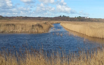 Exploring: RSPB Minsmere