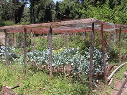 Beating the drought at Maasai Academy
