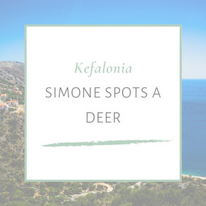 SIMONE SPOTS A DEER