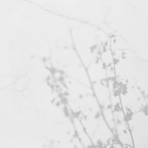 IG post background7.jpg