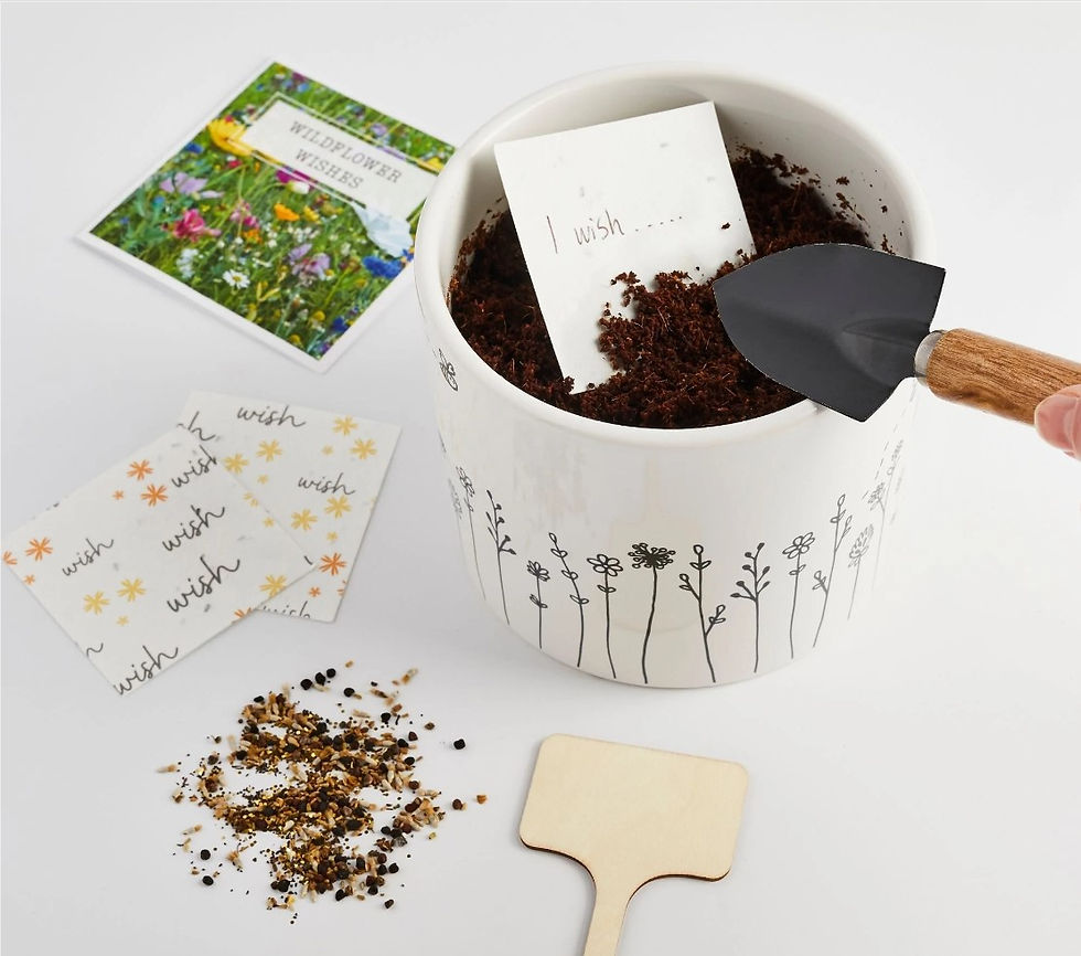 Thumbnail: Wildflower Wishes 