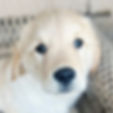 Tucker
