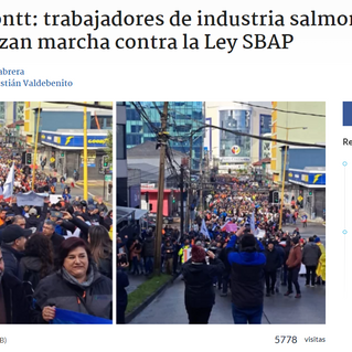 Puerto Montt: la ciudad salmón y la ley SBAP