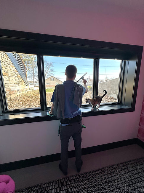 Window cleaner