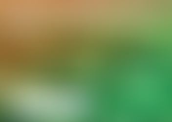 Bússola do Tempo Alunos do 6º Amarelo projetam seus sonhos no futuro.