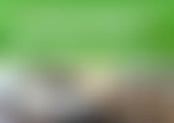 🏃‍♂️ Projeto Atletismo Primeiros Passos 🏃‍♀️