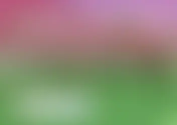 ✨🌿 Folclore na EMEI "Luiz Adriano da Costa" 🌿✨