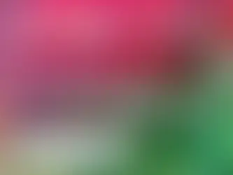 Homenagem ao Dia das Mães – EMEI