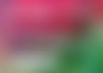 Homenagem ao Dia das Mães – EMEI