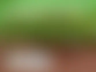 Arraial da Escola Joaquim Mendonça 🎊🧑🏽🌾👩🏻🌾🍿🥜