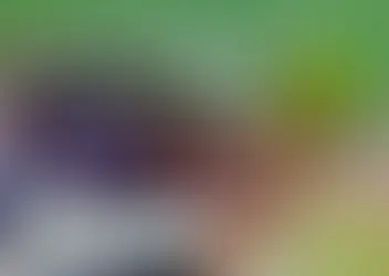 🎉✨ Mês do Folclore na E.M.E.F. Joaquim Mendonça ✨🎉