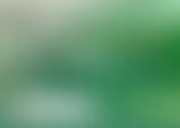 🎓✨ Trote do 9º Ano - Tema: Profissões