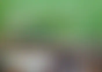 ✨📚 2ª Manhã Literária – EM “Professor Osvaldo Alves Ferreira” 📚✨