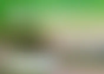 Dedetização e Desratização nas Escolas da Rede Municipal