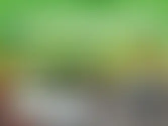 📚✨ Formação Continuada – Programa Alfabetiza Juntos