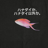 裏起毛スウェット ハナダイ成魚WORLD.ver2.JPG